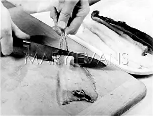 Filleting: FILLETING A FISH