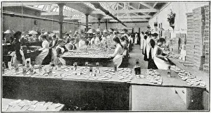 Rowntree: Filling Rowntree's Commemorative Boxes of Chocolates 1902