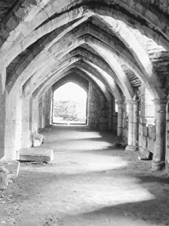 Priories: FINCHDALE PRIORY CRYPT