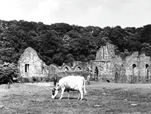 Priories: FINCHDALE PRIORY RUINS