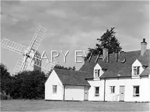 Finchingfield: FINCHINGFIELD WINDMILL