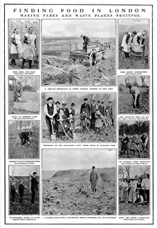 Stroud: Finding Food in London: WW1
