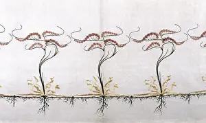 Divan: fine arts, carpets / textile, linen with silk