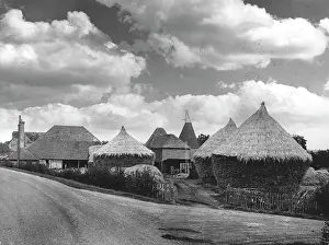 Staplehurst: FINE HAYSTACKS IN KENT