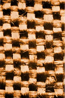 Weft: Fine Silk, Early Photomicrograph