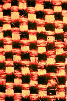 Weft: Fine Silk, Early Photomicrograph