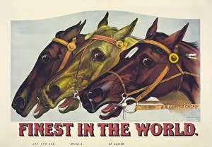 Finest: Finest in the world