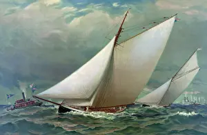 C1885: The finish