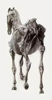 Equines: Finished Study for the Fifteenth Anatomical Table, by Stubbs