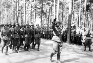Steiner: A Finnish battalion of the Waffen-SS, 1943
