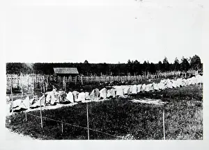 Tooth: Finnish-Russian Winter War 1939-1940