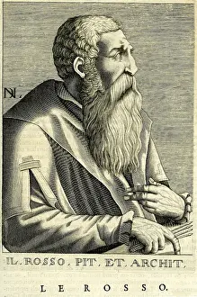 Fiorentino: Fiorentino Rosso