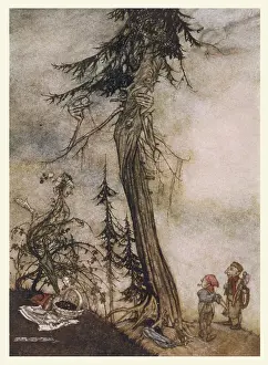Fables: FIR TREE AND BRAMBLE