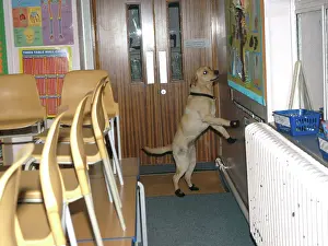 Sniff: Fire dog working at scene of school fire, Dagenham