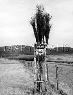 Outbreaks: FIRE FIGHTING BROOMS