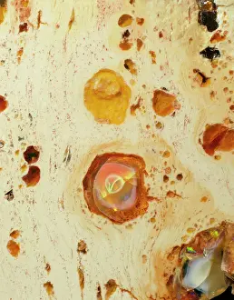 Sulphate: Opal