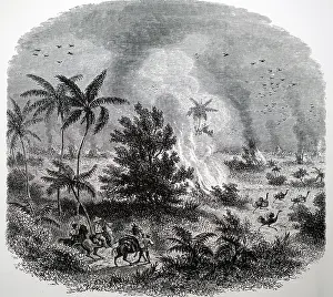 Blaze: Fire in the South Brazilian campos
