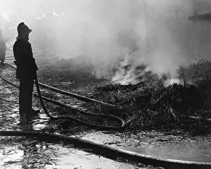Gorse: Firefighters in action at a gorse fire