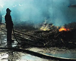 Gorse: Firefighters in action at a gorse fire