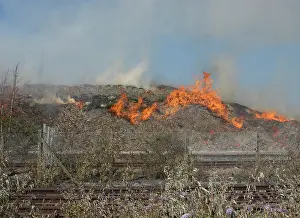 Staples: Firefighters at scene of fire at Staples Corner