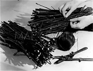 Secateurs: FIRELIGHTING TWIGS