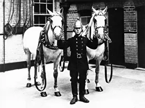Fireman in brass helmet with two white horses