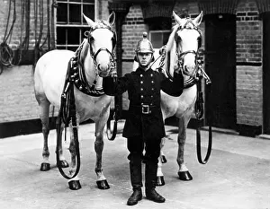 Fireman in brass helmet with two white horses