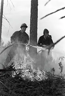 Akimov: Fires in Moscow region, 1976