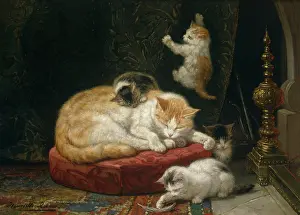 Fireside: Fireside Bliss - cat and four kittens