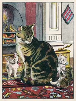Fireside: FIRESIDE CAT & KITTENS