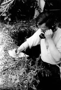 Calls: Firing position of an howitzer in the Donets area, 1942
