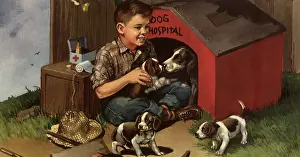 Canines: First Aid