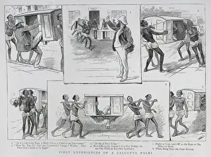 Nineteeth: First Experiences of a Calcutta Palki