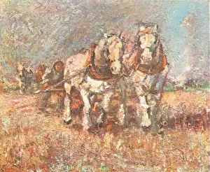 Fidler: The First Furrow