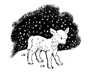 Storycard: The First Greeting - lamb in the snow