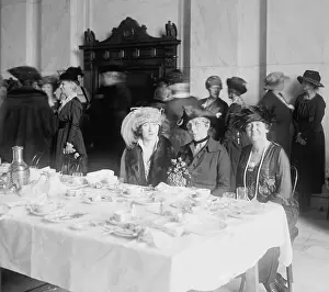 Evalyn: First Lady Florence Harding (1860-1924), ?