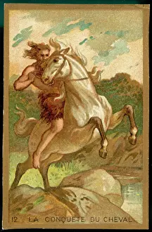 Taming: First Mount