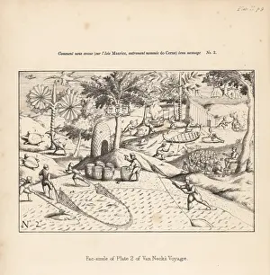 Strickland: First published illustration of a dodo by van Neck, 1601