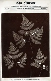 Talbot: First published photograph, William Fox-Talbot