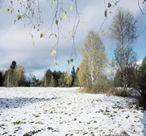 Assr: First Snow photo art work, 1990