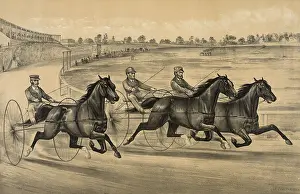 Trotter: Well together at the first turn