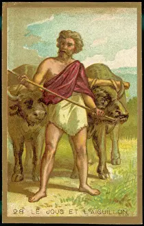 Goad: First Yoke