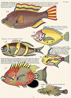 Dots: Six Fish