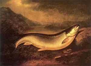 Breathing: Fish on the Bank