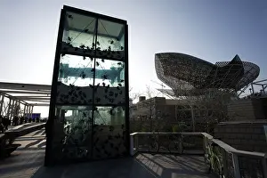 Gehry: The Fish, Barcelona, Spain