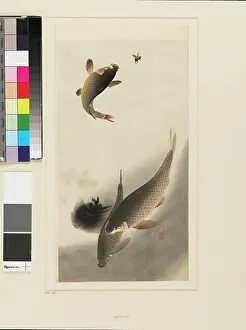Koson: Fish and bee