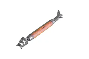 Scrape: Fish descaler
