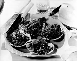 Mayonnaise: FISH & DICED VEGETABLES