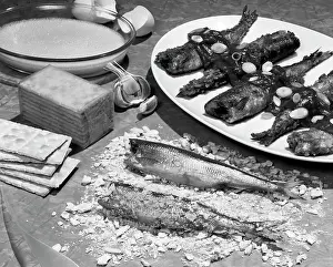 Frt001: Fish Dinner Retro