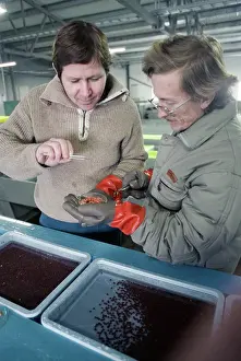 Monitoring: Fish Factory Ozerki